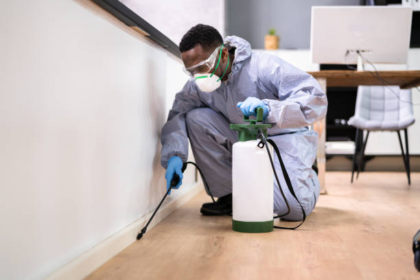 Best Real Estate Pest Inspections  in East Vineland, NJ